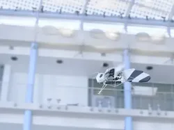 Ini Dia Robot Lebah yang Canggih dan Sangar