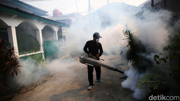 Penyakit Demam Berdarah Dengue (DBD) mulai menyerang di sejumlah daerah. Fogging atau pengasapan pun dilakukan untuk mencegah DBD.