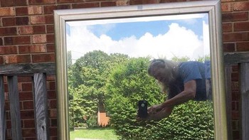 Bisa dari samping... Foto: Sadanduseless