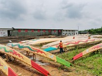 Intip Pembuatan Perahu Naga di Shangrao China