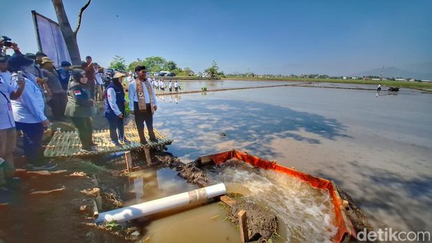 Mentan saat di wilayah persawahan Bojongemas Bandung