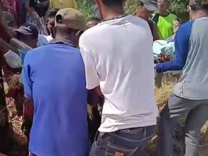 Pria Dompu Tewas Tergiling Mesin Perontok Jagung, Jasad Sulit Dikenali