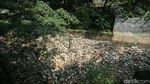 Sampah Menumpuk di Kali Baru Cipayung Depok