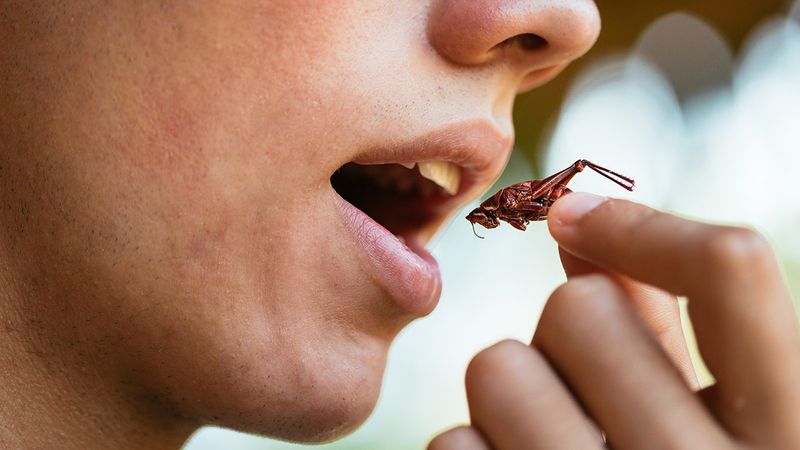 Serangga hingga Jeroan Dianjurkan Ahli Nutrisi Untuk Dikonsumsi