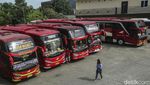 Pesona Sopir Bus Wanita Liena Ozora