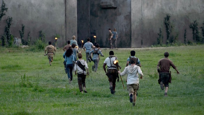 The Maze Runner The Maze Runner