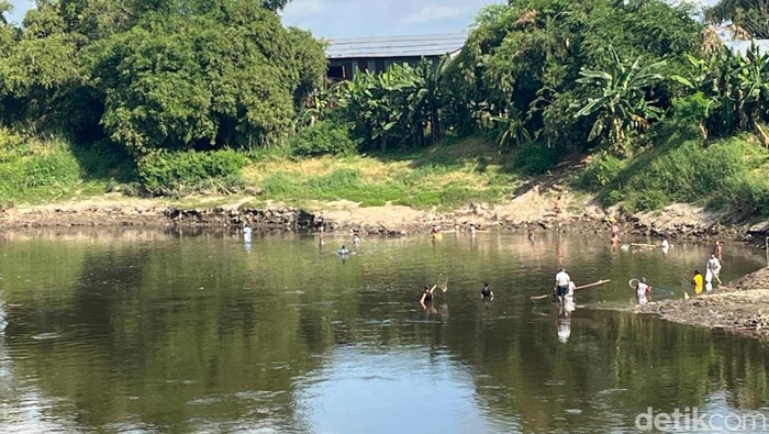 Warga ramai-ramai memancing di Bengawan Solo, Selasa (7/5/2024). Hal ini karena ada fenomena bladu yang disebabkan pencemaran sungai.