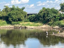 Pencemaran Limbah Ciu di Bengawan Solo Belum Ganggu Produksi PDAM