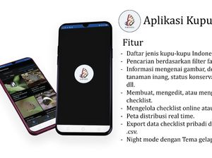 Senang Kupu-kupu? Yuk Cari Informasinya Lewat Aplikasi Kupunesia