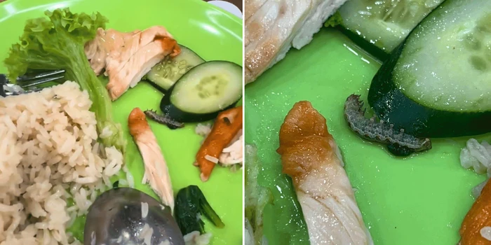 Beli Nasi Ayam di Kopitiam, Pengunjung Ini Dapat Bonus Ulat!