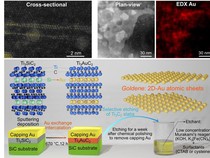 Ilmuwan Ciptakan Daun Emas Tertipis di Dunia Setebal 1 Atom, Dinamai Goldene