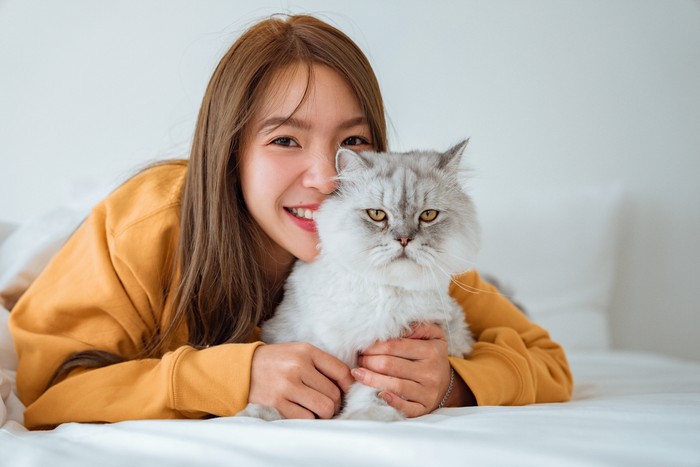 Ilustrasi Kucing