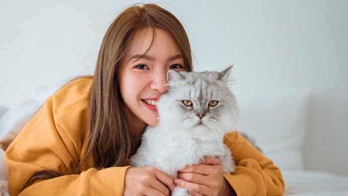 Ilustrasi Kucing