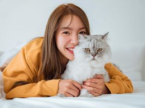 Mengulik Profesi Cat Sitter, Dibayar untuk Main dengan Kucing