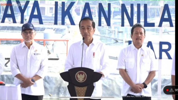 Jokowi Bisiki Pemerintahan Prabowo Wujudkan 78 Ribu Hektare Tambak Nila