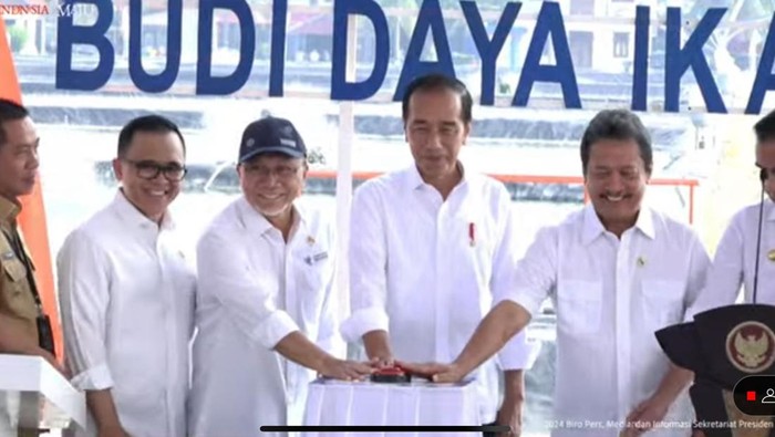 Jokowi Resmikan Modeling Budi Daya Ikan Nila: Demand Pasar Dunia Sangat Besar