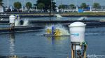Melihat Budi Daya Nila dengan Teknologi eFeeder di BLUPPB Karawang