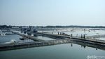 Melihat Budi Daya Nila dengan Teknologi eFeeder di BLUPPB Karawang
