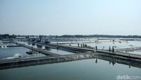 eFeeder akan mempermudah pembudi daya mengatur jadwal pemberian pakan ikan di BLUPPB Karawang.