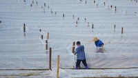 Penduduk desa memasang keramba jaring di Anqing, Provinsi Anhui, China, Selasa (7/5/2024).
