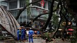 Pohon Besar Tumbang di Kuala Lumpur, 17 Mobil Jadi Korban