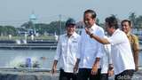 Tawa Semringah Jokowi Saat Resmikan Modeling Tambak Budi Daya Ikan Nila