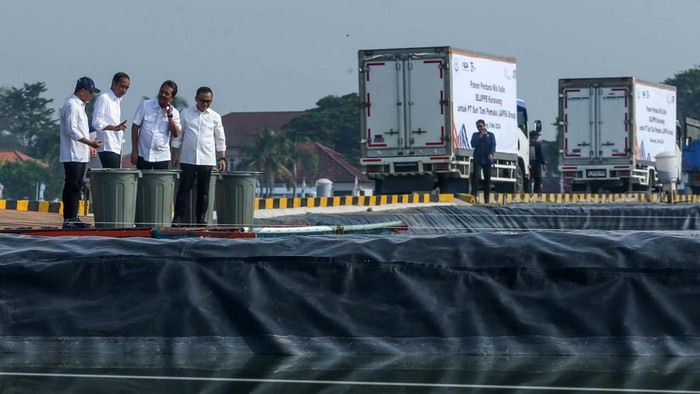 Zulhas Dampingi Jokowi Resmikan Modeling Tambak Budi Daya Ikan Nila Salin Menteri Perdagangan Zulkifli Hasan mendampingi Jokowi meresmikan modeling tambak budi daya ikan nila salin. Tampak ini bisa menghasilkan keuntungan Rp 38,6 miliar.