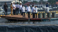 Dari asumsi hitungan ekonomi dengan harga pokok produksi Rp 24.500 per kg, modeling bisa menghasilkan keuntungan sekitar Rp 38,6 miliar.  