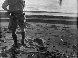 Foto Sebelum Tragedi Terjadi, Ceritanya Mengerikan Bikin Merinding