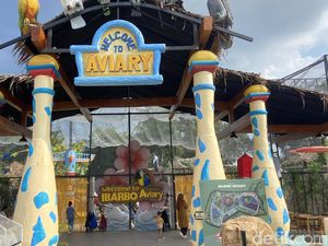 Cek Harga Tiket dan Jam Buka Taman Aviary Ibarbo Park Jogja