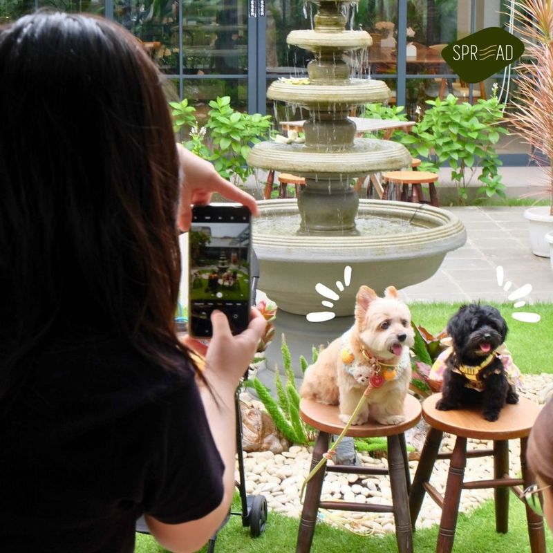 Kafe Pet Friendly di Surabaya: Spread by TooTooMoo.