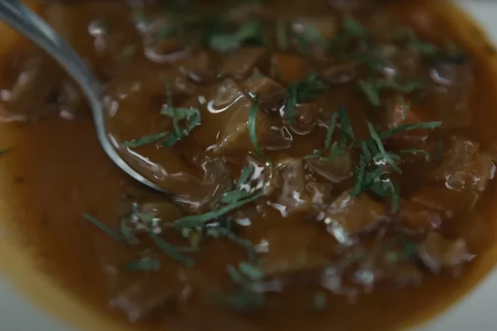 Keren! Sup Penyu Vegan Dibuat Pakai AI untuk Lindungi Kepunahan