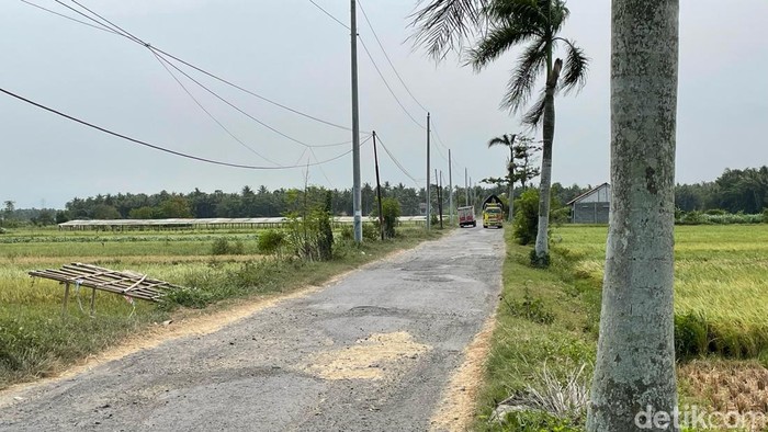 Kondisi jalan Ngremang-Cangakan, Karangsewu, Galur, Kulon Progo, yang viral dijuluki Wisata Jeglongan Sewu, Kamis (9/5/2024).