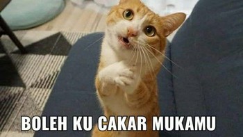 Boleh dicakar nggak.... Foto: Twitter/@majelislucutwt