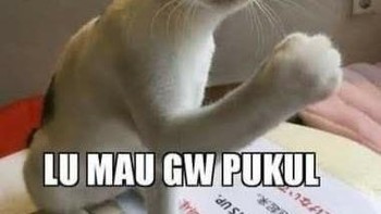 Lu mau gw pukul... Foto: Twitter/@majelislucutwt