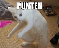 Meme Kocak Kucing