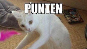 Puten... Foto: Twitter/@majelislucutwt