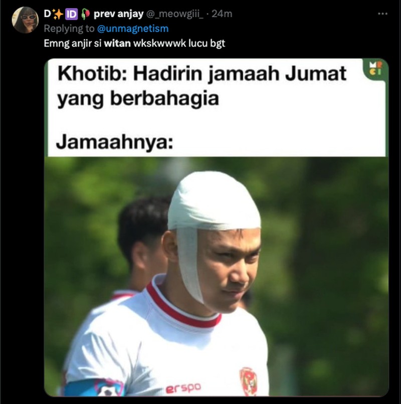 Meme Witan