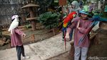 Menikmati Libur Panjang di Jakarta Bird Land Ancol