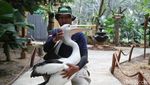 Menikmati Libur Panjang di Jakarta Bird Land Ancol