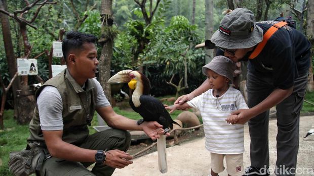 Sejumlah pegunjung menikmati pertunjukan atraksi burung di wahana Jakarta Bird Land, Taman Impian Jaya Ancol, Jakarta Utara, Kamis (9/5/2024).