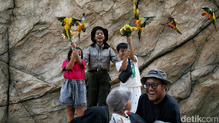 Menikmati Libur Panjang di Jakarta Bird Land Ancol Sejumlah pegunjung menikmati pertunjukan atraksi burung di wahana Jakarta Bird Land, Taman Impian Jaya Ancol, Jakarta Utara, Kamis (9/5/2024).