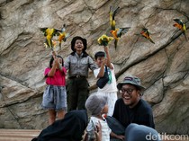 7 Rekomendasi Wisata Edukasi Anak Bernuansa Alam untuk Akhir Pekan