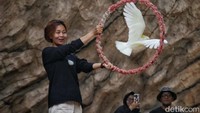 Di sini pengunjung bisa menikmati atraksi burung.