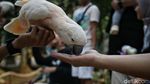 Menikmati Libur Panjang di Jakarta Bird Land Ancol