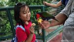 Menikmati Libur Panjang di Jakarta Bird Land Ancol