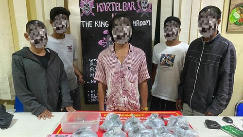 Polres Lombok Utara menangkap lima orang pengedar jamur tahi sapi atau yang kerap disebut magic mushroom di kawasan Gili Trawangan, Lombok Utara, NTB. (Foto: Humas Polres Lombok Utara)