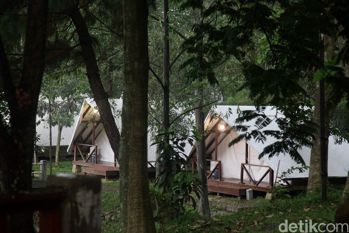 Tumbuhejo Campground di Sentul, Kabupaten Bogor Tumbuhejo Campground di Sentul, Kabupaten Bogor