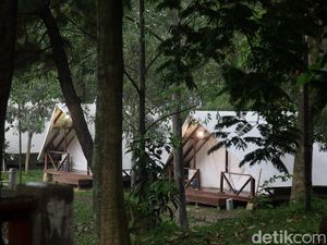Mau Kemping dan Glamping Asyik di Tengah Hutan? Datang ke Sentul Saja
