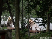 Mau Kemping dan Glamping Asyik di Tengah Hutan? Datang ke Sentul Saja